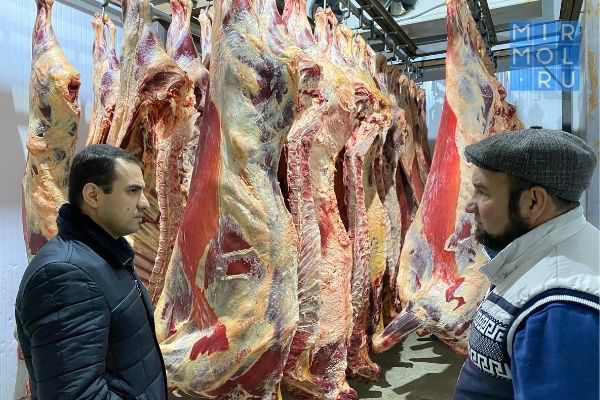 UAE interested in importing Dagestan lamb